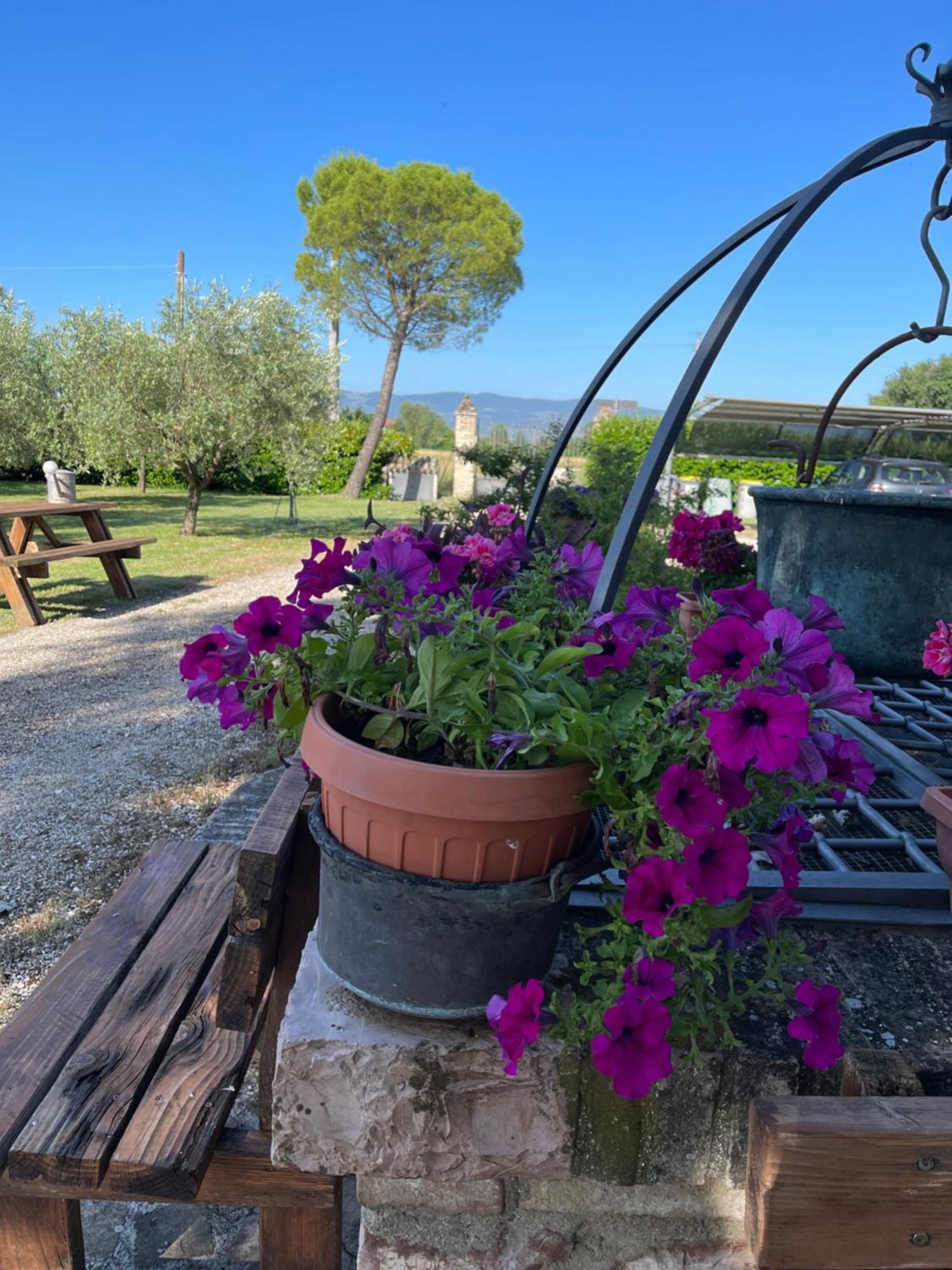 Le Ghiande Guest House Spello Exterior photo