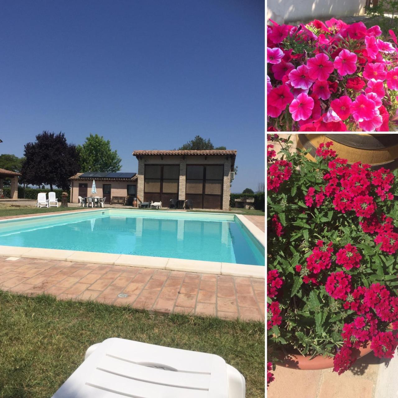 Le Ghiande Guest House Spello Exterior photo